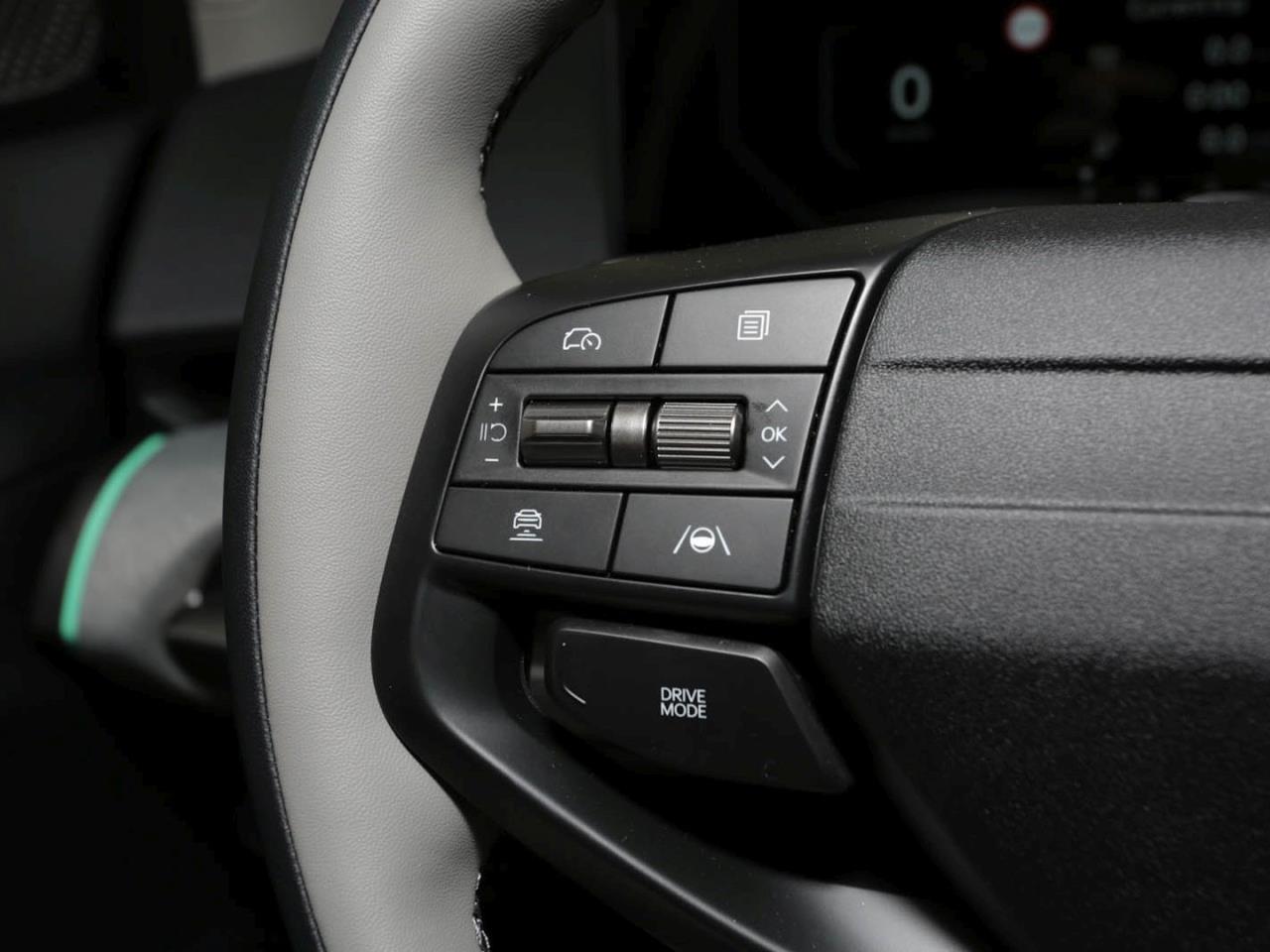 KIA EV4 81,4 kWh Earth Navi Schiebedach Sound-P 360°