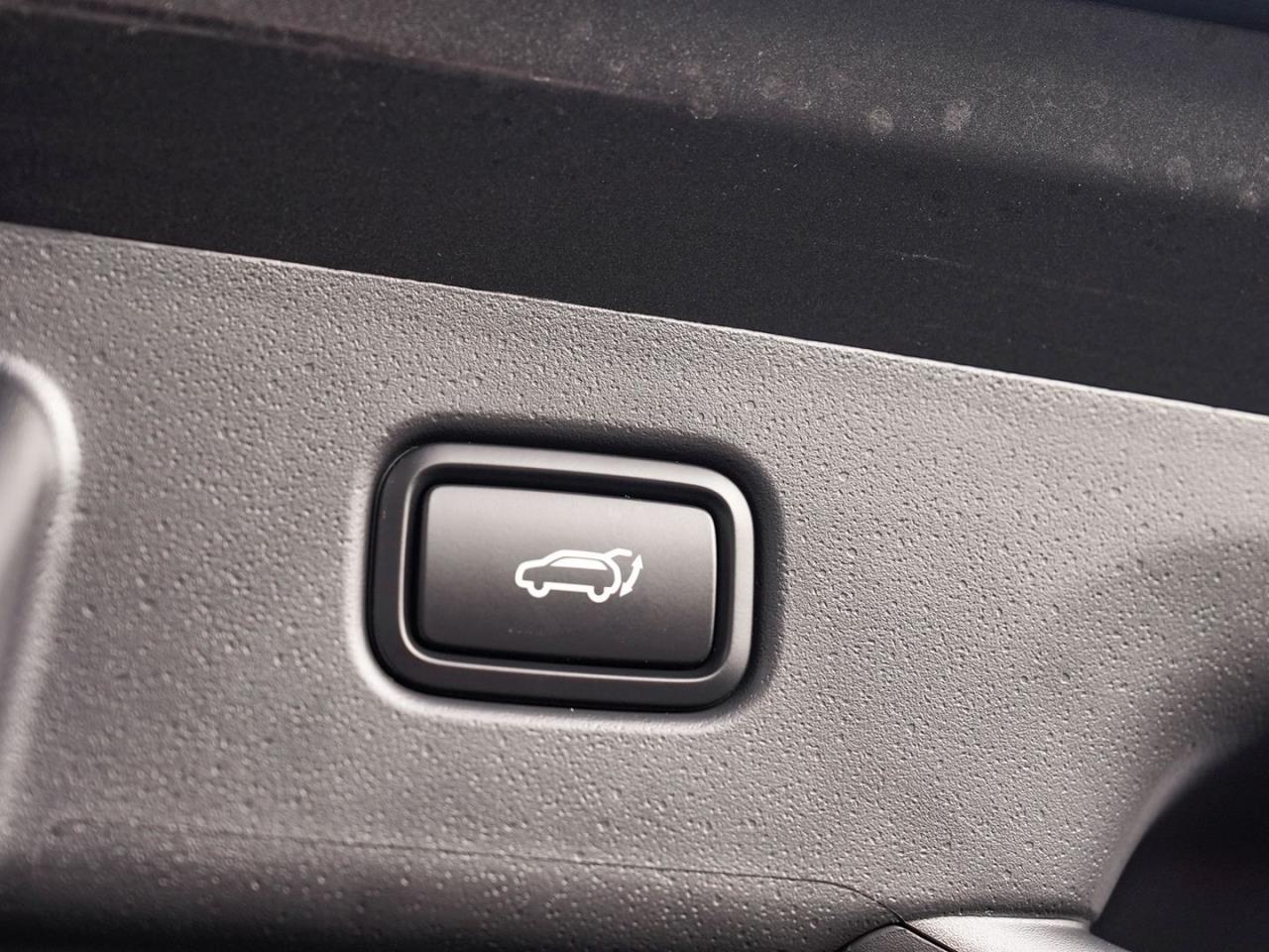 KIA Niro 1.6  PHEV DCT Plug&Ride Sitzklima Kamera