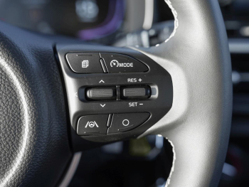 KIA Picanto 1.0 Vision Kamera SpurH Navi Sitzhzg