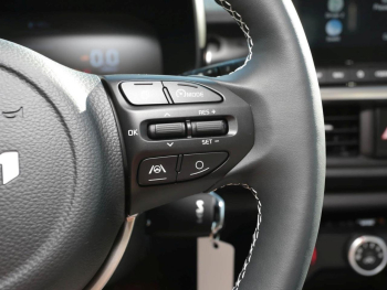 KIA Picanto 1.0 Vision Navi Kamera SpurH Lenkradhzg