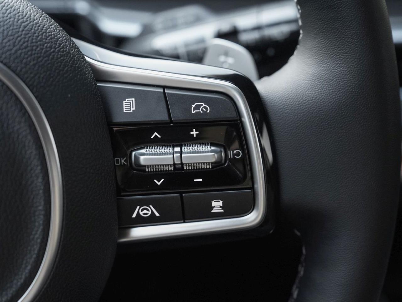 KIA Sorento 1.6T PHEV AWD Plug&Ride Panorama 7-Sitzer