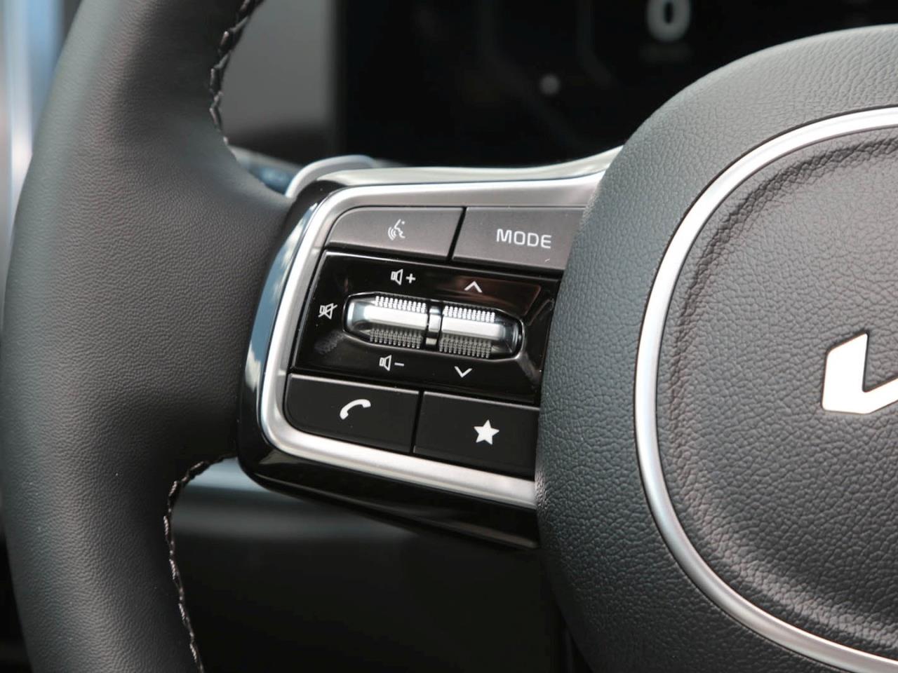 KIA Sorento 1.6T PHEV AWD Plug&Ride Navi Panorama