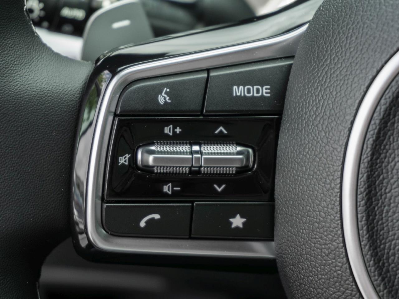 KIA Sorento 2.2 CRDi DCT AWD Platinum Navi Bose HUD