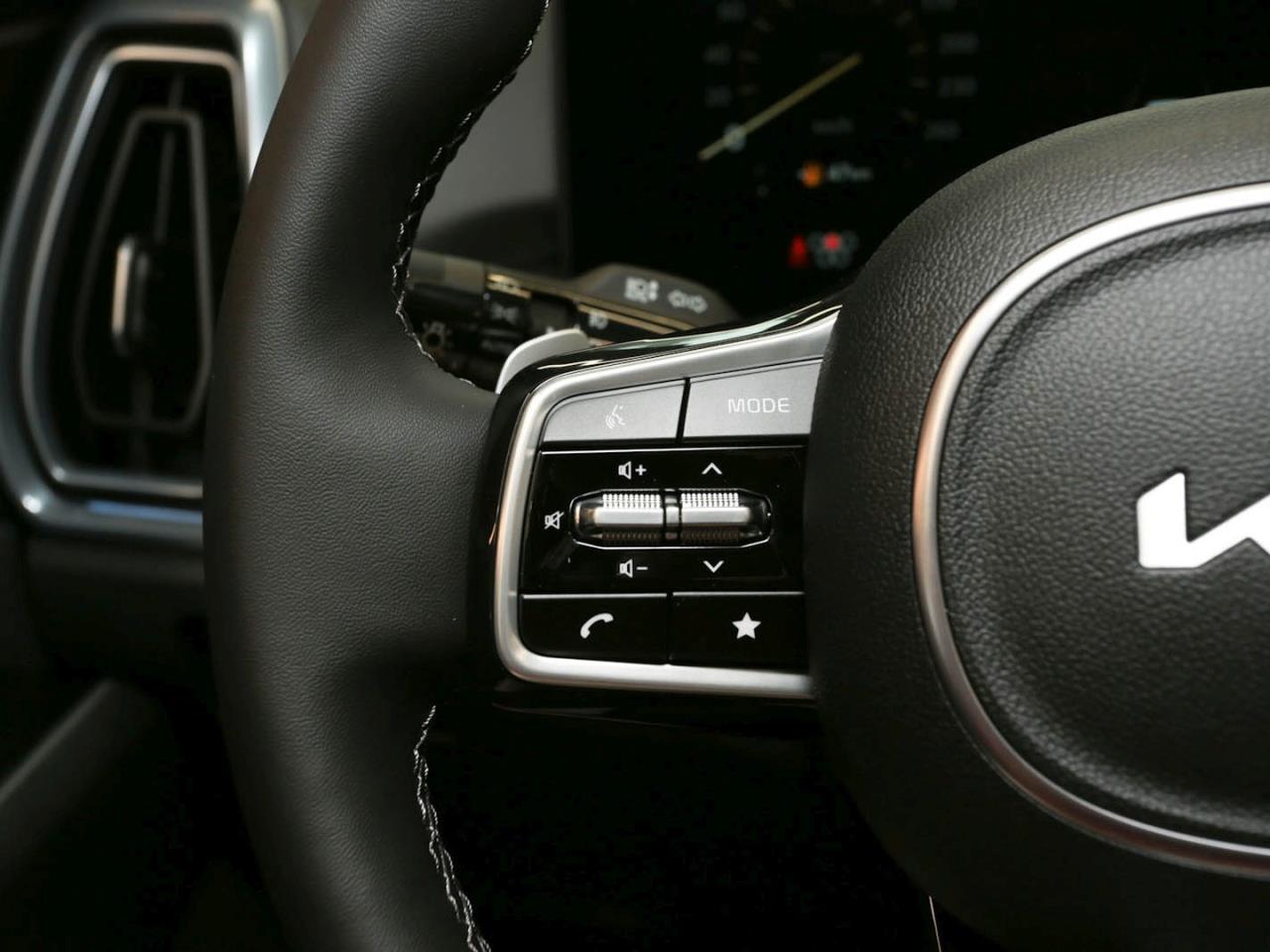 KIA Sorento 2.2 CRDi DCT AWD Platinum Panorama 360°