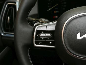 KIA Sorento 2.2 CRDi DCT AWD Platinum Panorama 360°