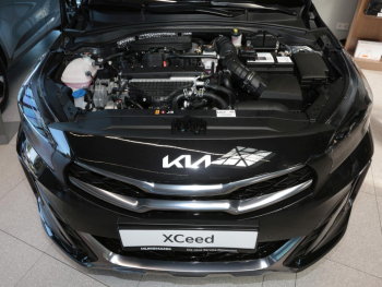 KIA XCeed 1.6T DCT GT-Line Navi Glasdach Fond-SHZ