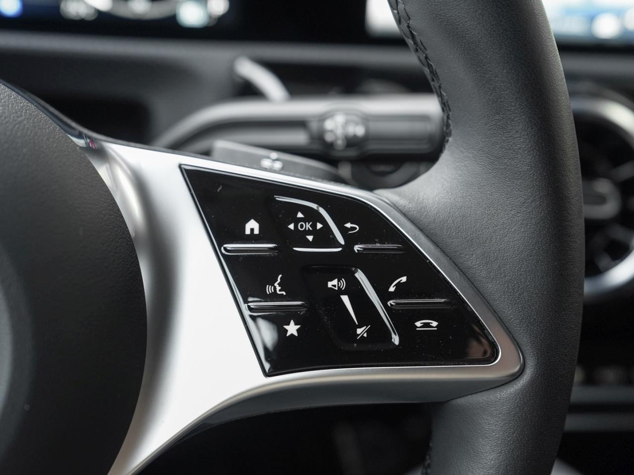 Mercedes-Benz A 250 e MBUX Navi Premium Kamera WinterP Leder