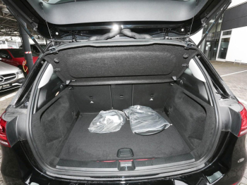 Mercedes-Benz B 250 e Style Navi Kamera Park-Paket Spiegel-P