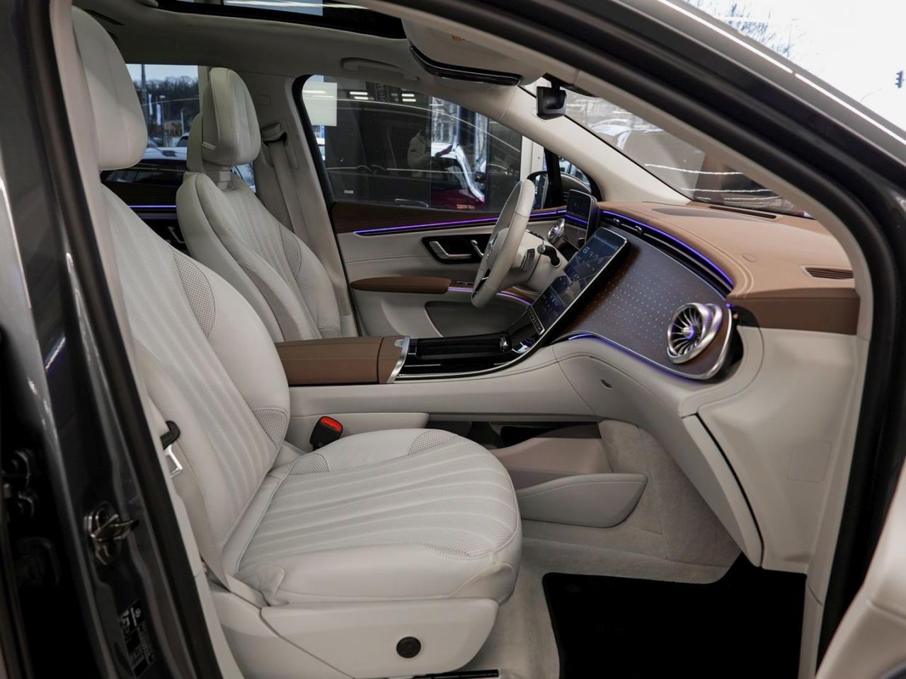 Mercedes-Benz EQS 450+ SUV Electric Art Panorama SHZ-Fond AHK