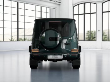Mercedes-Benz G 450 d AMG Night AHK Schiebedach Distronic 360°