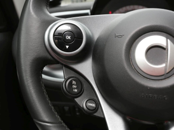 SMART EQ forfour passion Advanced-Paket Volldach