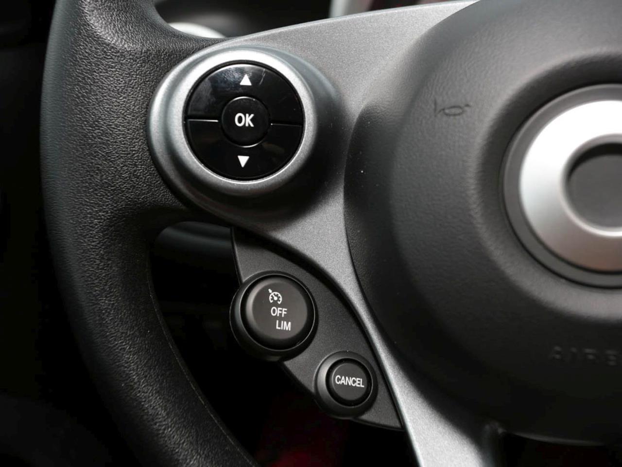 smart EQ forfour advenced-Paket Volldach 22 kW SHZ