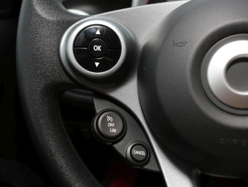 smart EQ forfour advenced-Paket Volldach 22 kW SHZ