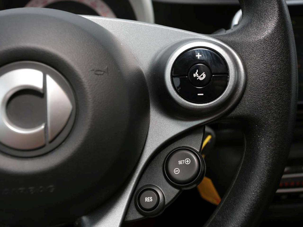 smart EQ forfour advenced-Paket Volldach 22 kW SHZ