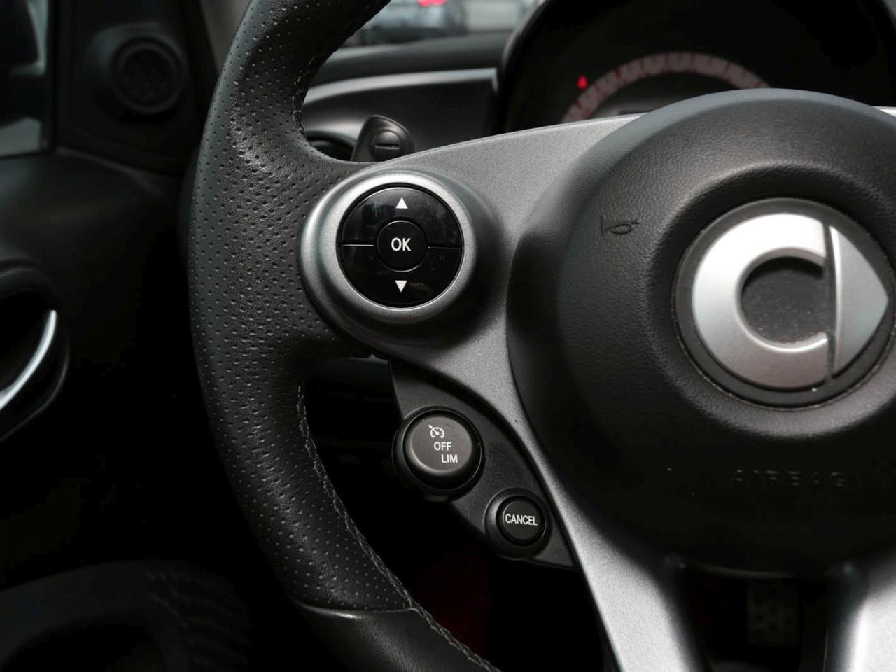 SMART fortwo cabrio twinamic passion Navi Klima SHZ