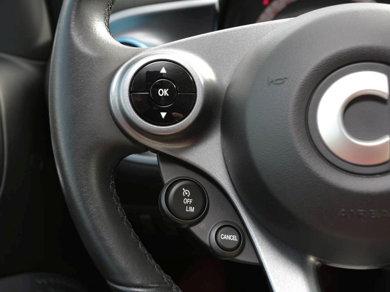 SMART EQ fortwo cabrio passion Plus-Paket 22kW-Lader