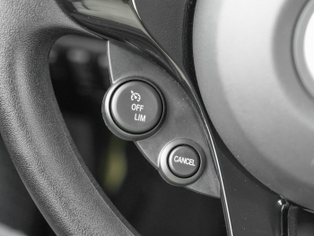 SMART EQ fortwo plus-Paket Cool&Audio Volldach 22kW