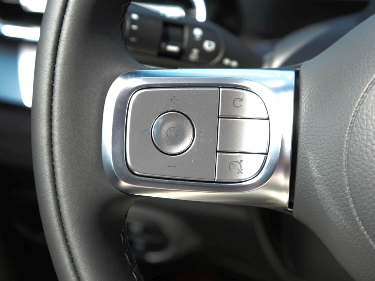 SMART #1 Pure+ Navi ACC Totwinkel Kamera Einparkhilfe