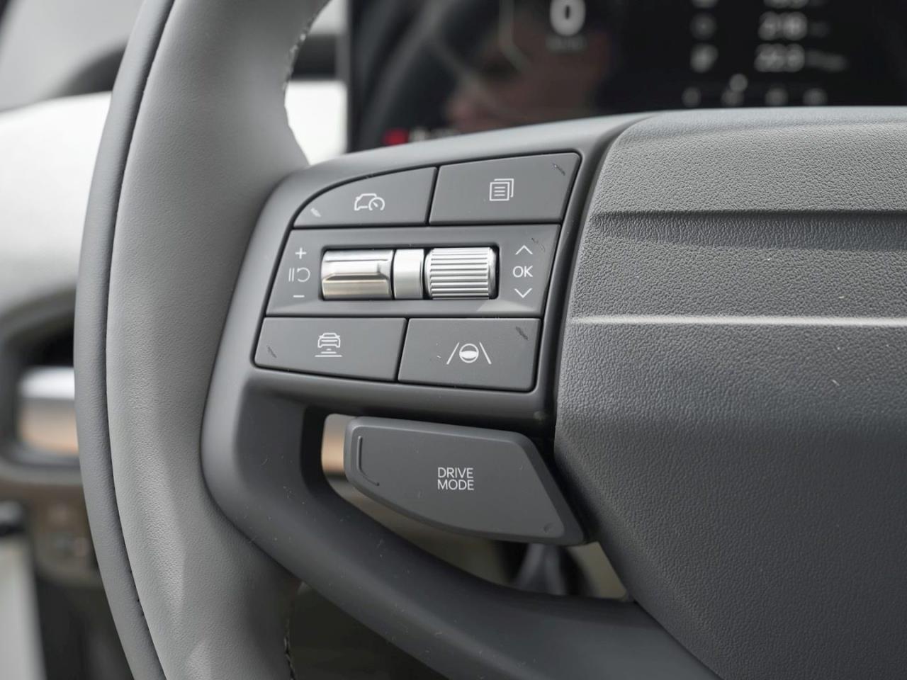 KIA EV3 81,4 kWh Earth DriveWise Privacy 360° ACC