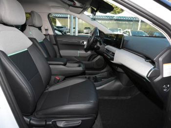 KIA EV4 81,4 kWh Earth Navi Sound-Paket 360° ACC
