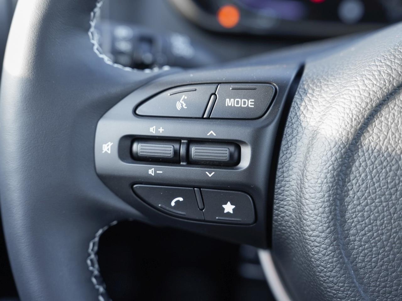 KIA Picanto 1.0 Vision Navi Kamera Klima SpurH