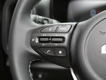 KIA Picanto 1.2 Vision Navi Kamera Lenkradhzg SpurH
