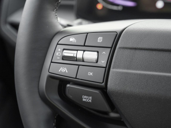 KIA Stonic 1.0T DCT Vision Kamera ACC SpurhalteP SHZ