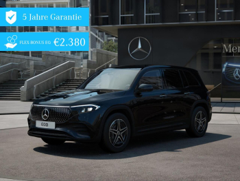 Mercedes-Benz EQB 250+ AMG Night Distronic AHK Winter-Paket