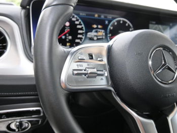Mercedes-Benz G 500 Schiebedach Standhzg Distronic 360? AHK
