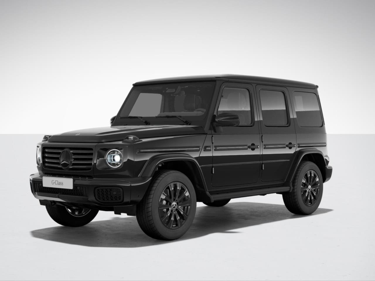 Mercedes-Benz G 450 d Exclusive Night Schiebedach Standhzg AHK