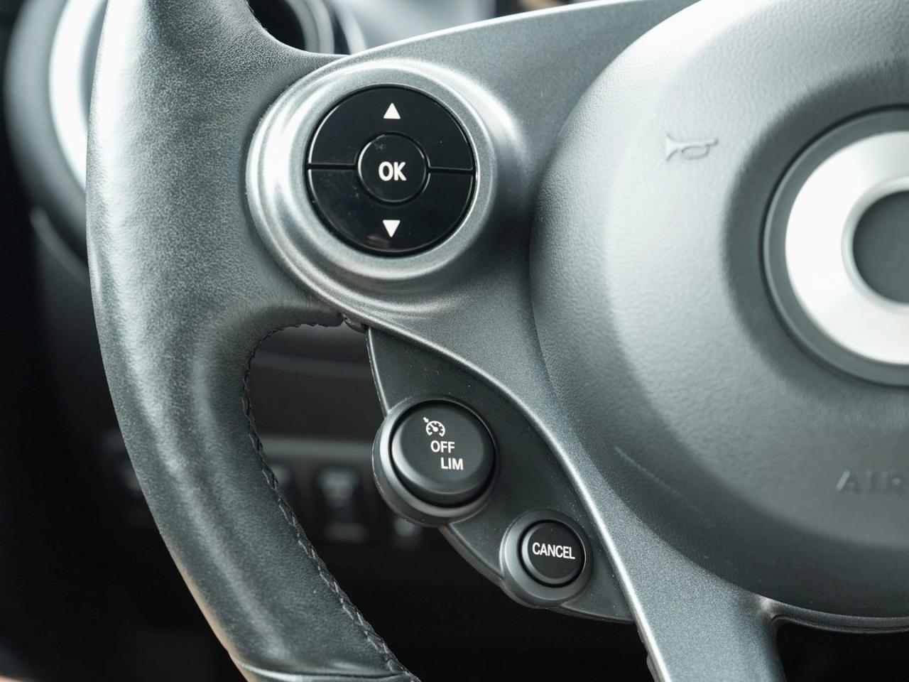 SMART EQ fortwo cabrio passion Advanced-P Sitzhzg LM