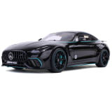 1:12 Model Car AMG GT 63 Pro Motorsport Collectors Edition Genuine Mercedes-AMG