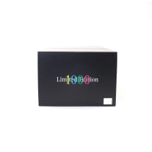 1:18 Modellauto AMG GT3 EVO #888 Bathurst 2025 Original Mercedes-AMG | B66960854