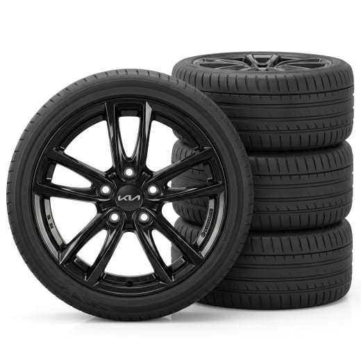16-inch winter tyres Kia EV2 Bridgestone 5-double-spoke Thebe black | WTEV2620565BRTB-B