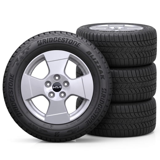 16 inch winterbanden Kia PV5 Passenger Sinsa zilver | WTPV5621565BRSI-PV5-P
