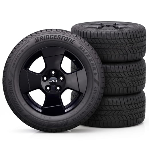 Ruote invernali da 16 pollici Kia PV5 Cargo Sinsa nero | WTPV5621565BRSB-PV5-C