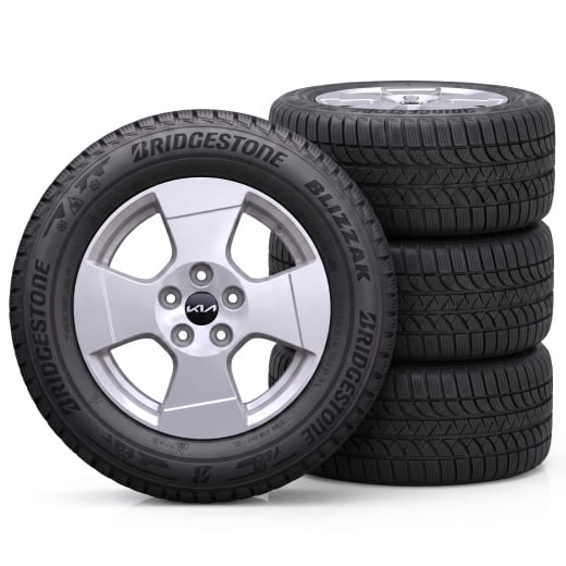Roues hiver 16 pouces Kia PV5 Cargo Sinsa argent | WTPV5621565BRSI-PV5Cargo
