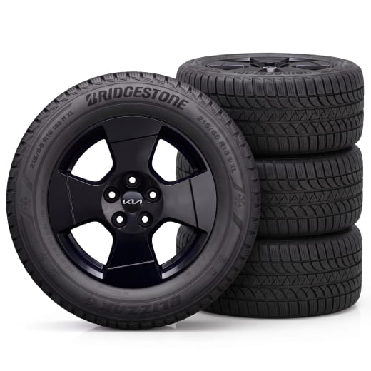Ruedas de invierno de 16 pulgadas Kia PV5 Passenger Sinsa negro | WTPV5621565BRSB-PV5-P