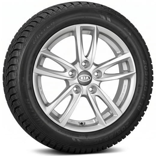 16 Zoll Winterräder Kia XCeed CD 5-Doppel-Speichen Thebe Silber | WTXC620560HNTHMY25-K
