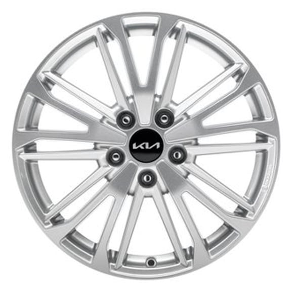 17 inch velgen Kia Niro SG2 zilver Osan 10-dubbelspaaks 4-delige set Original KIA