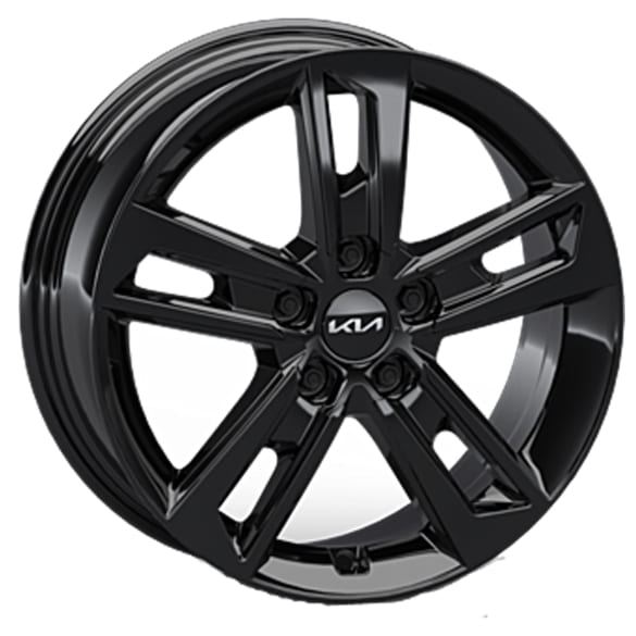 17 Zoll Winterräder KIA EV4 AMSA 5-Doppel-Speichen black