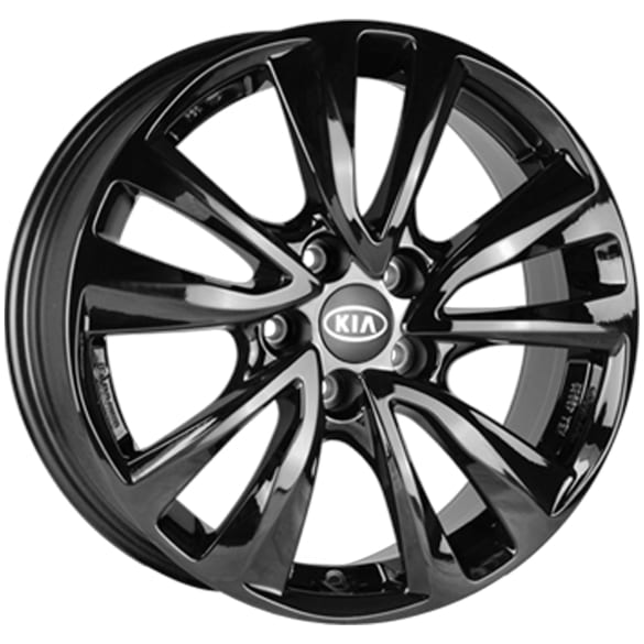 17 Zoll Winterräder KIA Ceed SW CD 5-Doppel-Speichen Depan schwarz