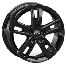 17 Zoll Winterräder KIA EV4 AMSA 5-Doppel-Speichen schwarz | WTEV4721560HCAB/BRAB