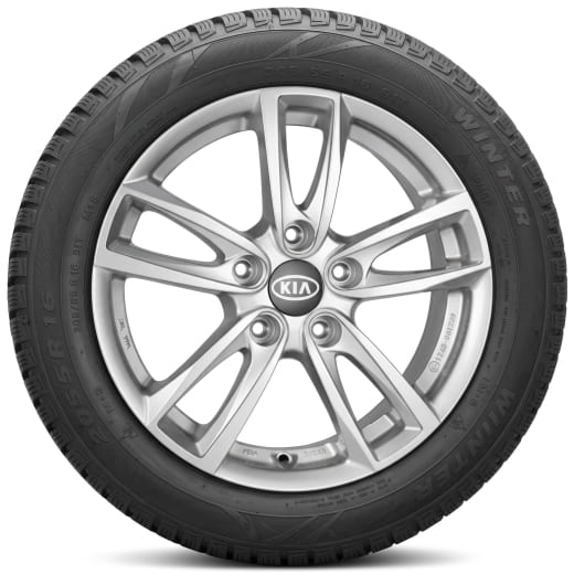 18 inch winterbanden Kia XCeed CD 5-dubbelspaaks Thebe zil  | WTXC823545HMTHMY25/BPTHMY25