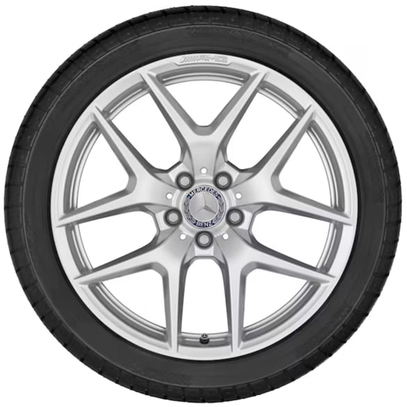 19 inch velgen AMG GT C190 R190 Y-spaak vanadiumzilver | A1904010300/0400 7X45
