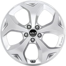 19-inch winter wheels KIA EV5 OV1 Iksan silver | WTEV5923555BRXS-EV5