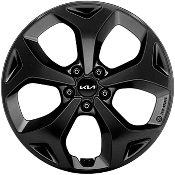 19 inch winter wheels KIA EV5 OV1 Bridgestone 5-spokes Iksan black