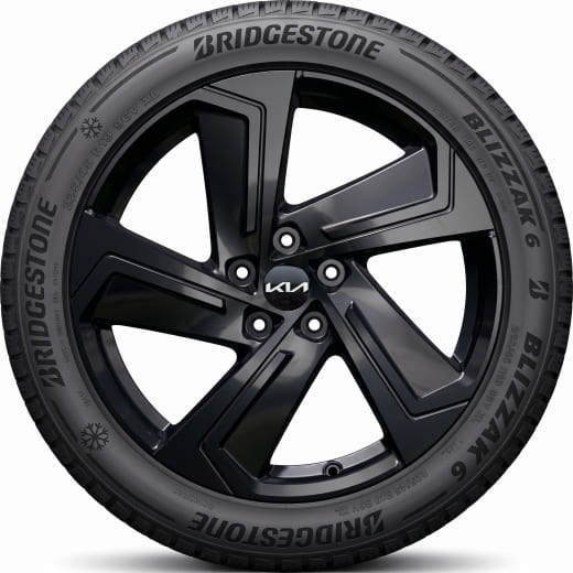 19 inch winterbanden Kia EV2 Bridgestone Borame zwart | WTEV2922545BRBB-B
