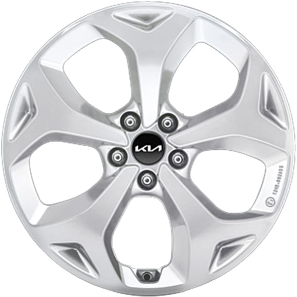 19 inch winterbanden KIA EV5 OV1 Bridgestone 5-spaaks Iksan zilver