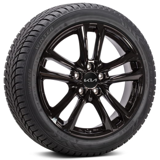 19 inch winterbanden Kia Sportage NQ5 5-dubbele spaken Tarvo | WTNQ5923550HCTB/PBTB
